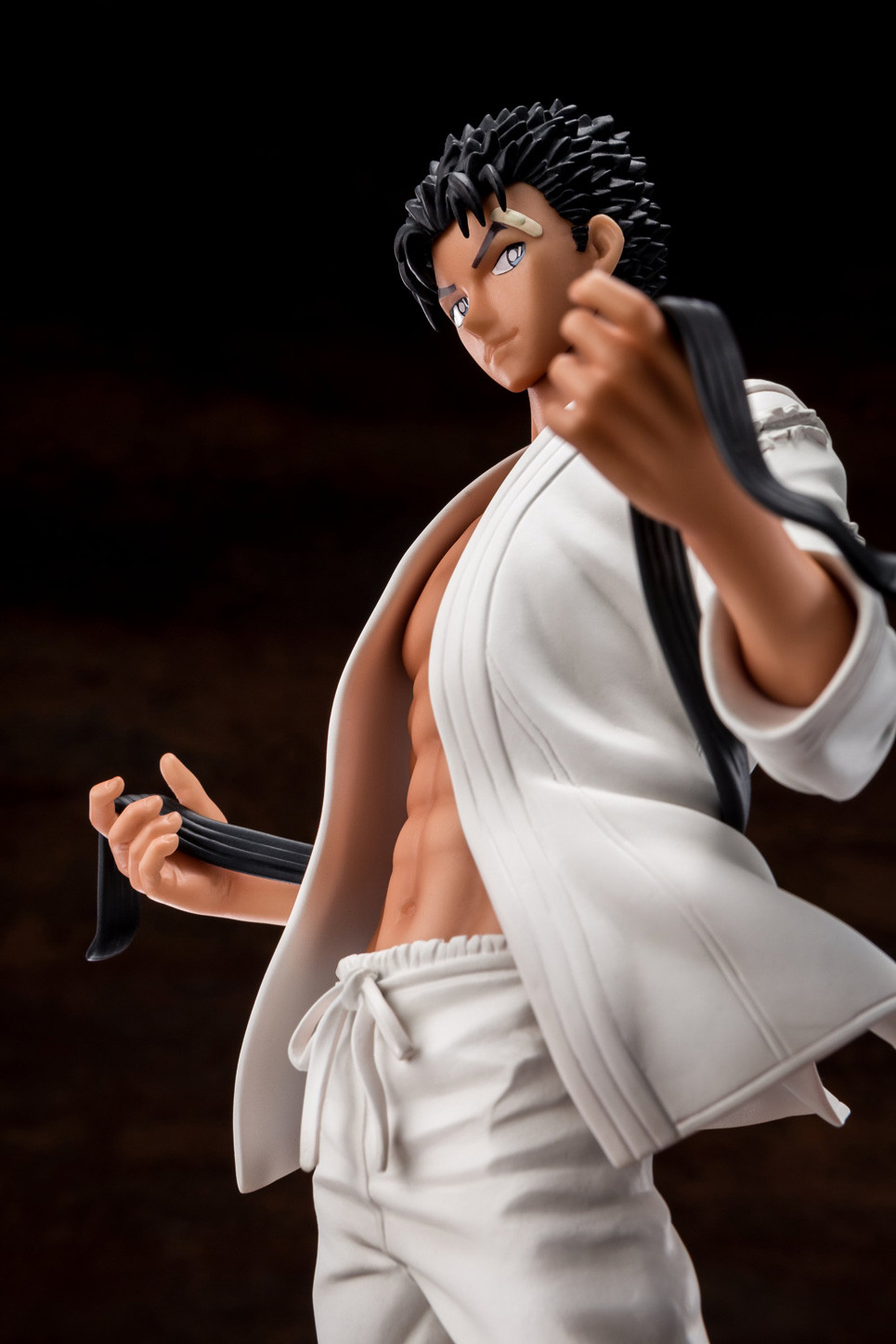 Meitantei Conan - Kyougoku Makoto - 1/8 (Hakoiri Musume, TMS Entertainment) photo 9