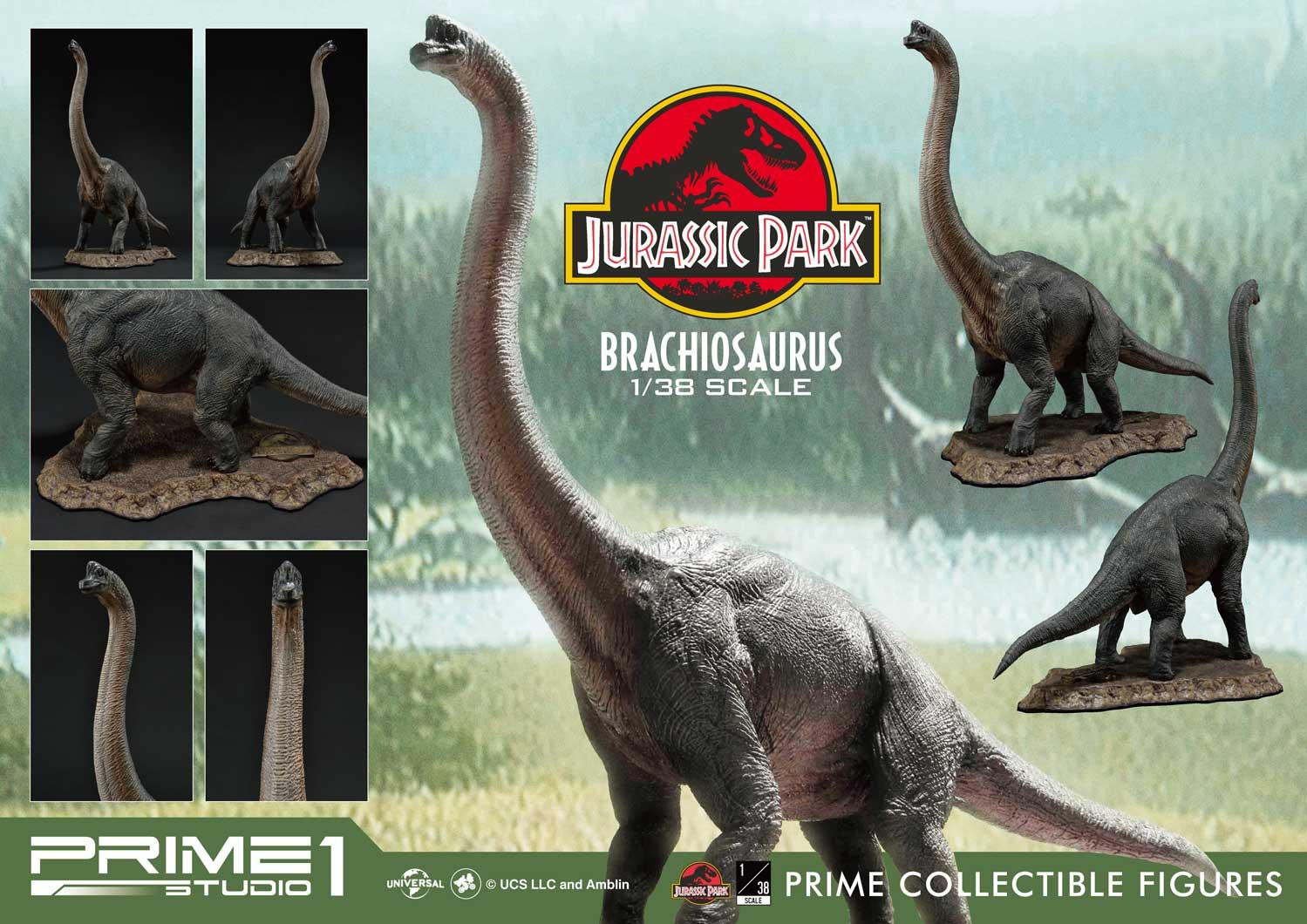 Jurassic Park - Brachiosaurus - Prime Collectible Figures (PCFJP-03) - 1/38 - Limited Edition (Prime 1 Studio) photo 21