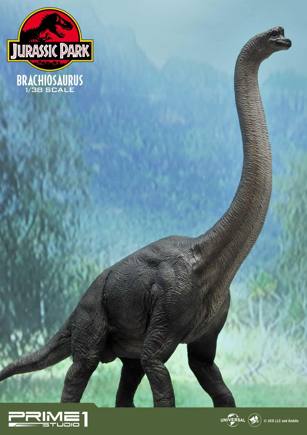 Jurassic Park - Brachiosaurus - Prime Collectible Figures (PCFJP-03) - 1/38 - Limited Edition (Prime 1 Studio) photo 28