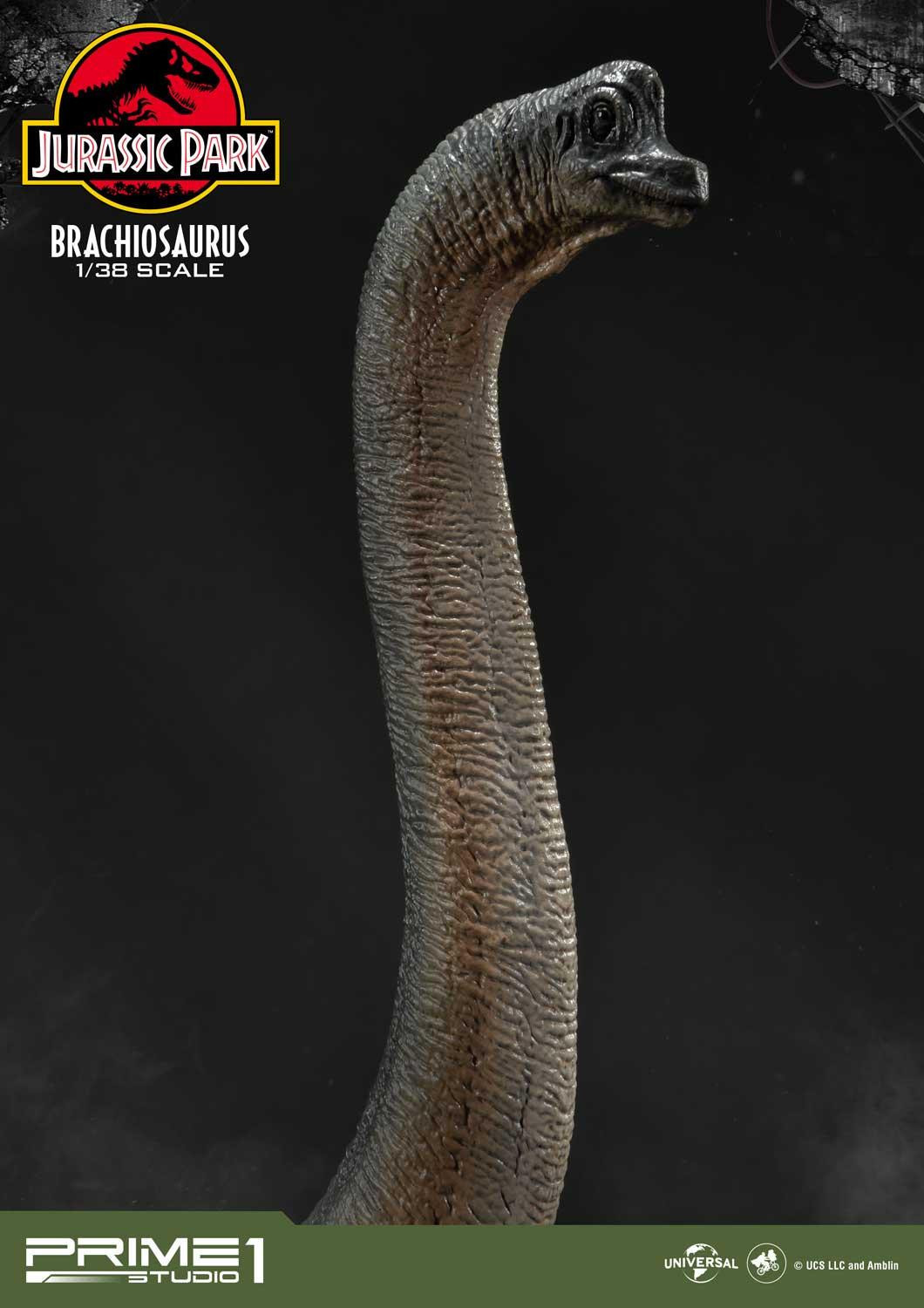 Jurassic Park - Brachiosaurus - Prime Collectible Figures (PCFJP-03) - 1/38 - Limited Edition (Prime 1 Studio) photo 30