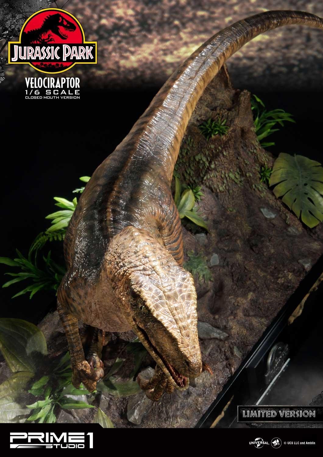 Jurassic Park - Velociraptor - Legacy Museum Collection (LMCJP-03LM) - 1/6 - Closed Mouth version, Prime 1 Studio Limited Edition (Prime 1 Studio) photo 7