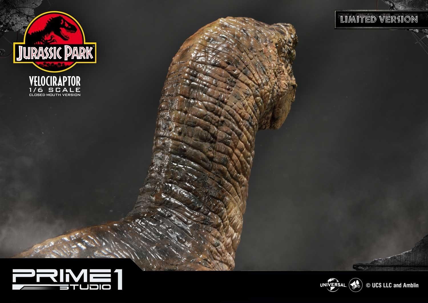 Jurassic Park - Velociraptor - Legacy Museum Collection (LMCJP-03LM) - 1/6 - Closed Mouth version, Prime 1 Studio Limited Edition (Prime 1 Studio) photo 8