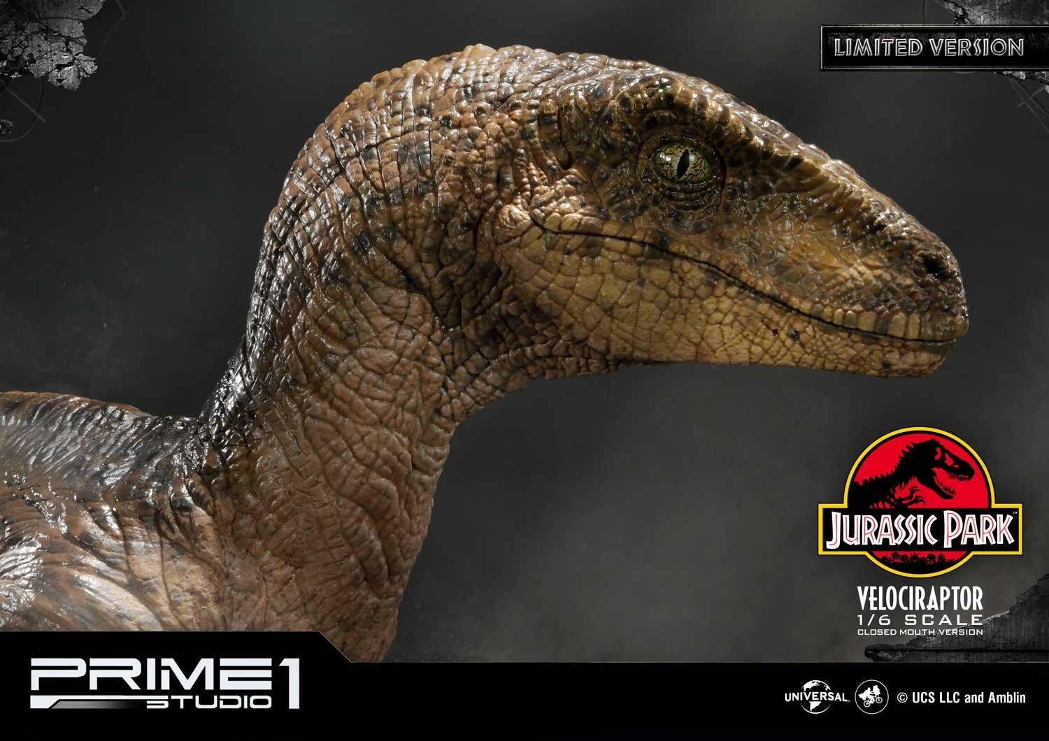 Jurassic Park - Velociraptor - Legacy Museum Collection (LMCJP-03LM) - 1/6 - Closed Mouth version, Prime 1 Studio Limited Edition (Prime 1 Studio) photo 9