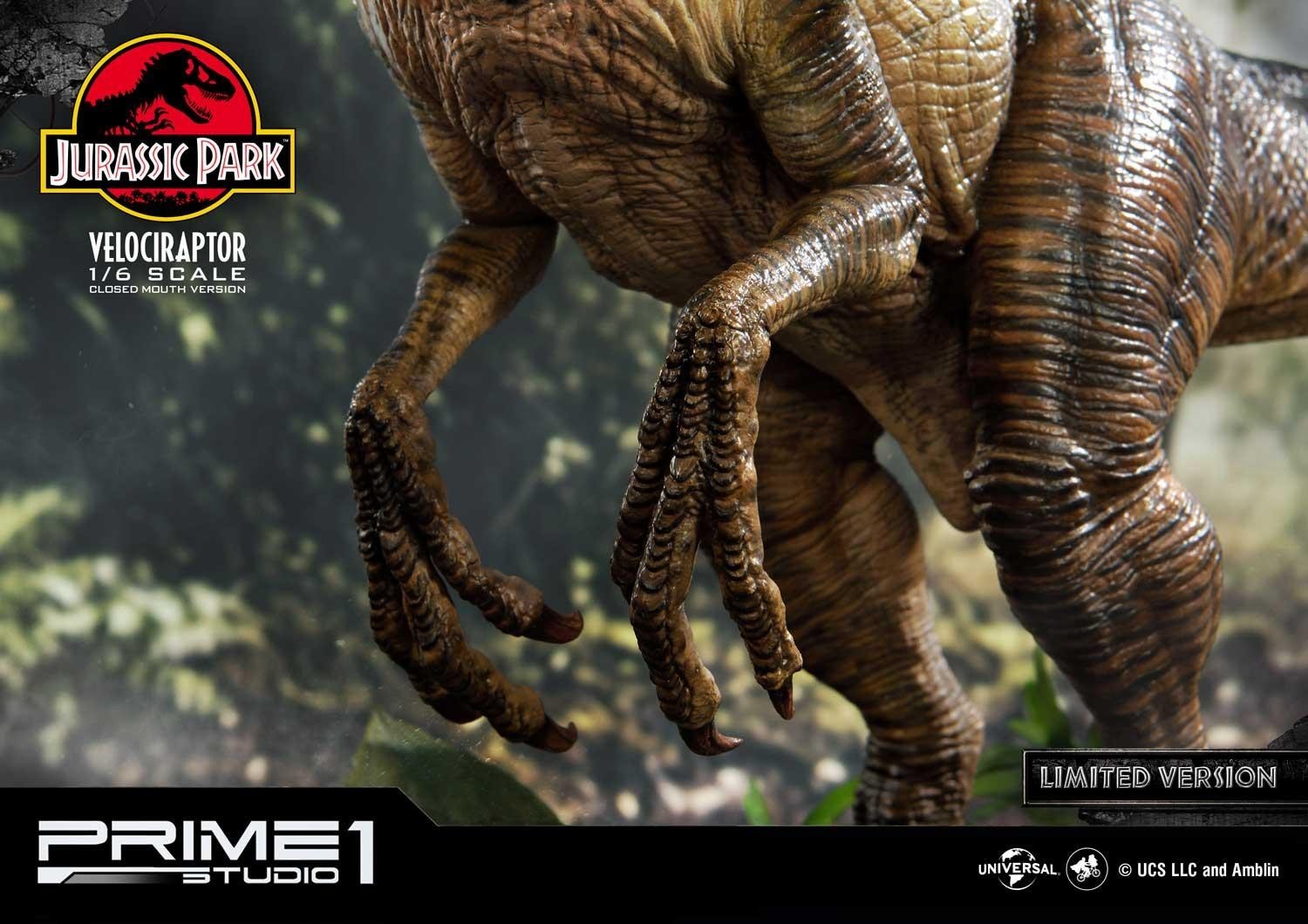 Jurassic Park - Velociraptor - Legacy Museum Collection (LMCJP-03LM) - 1/6 - Closed Mouth version, Prime 1 Studio Limited Edition (Prime 1 Studio) photo 13