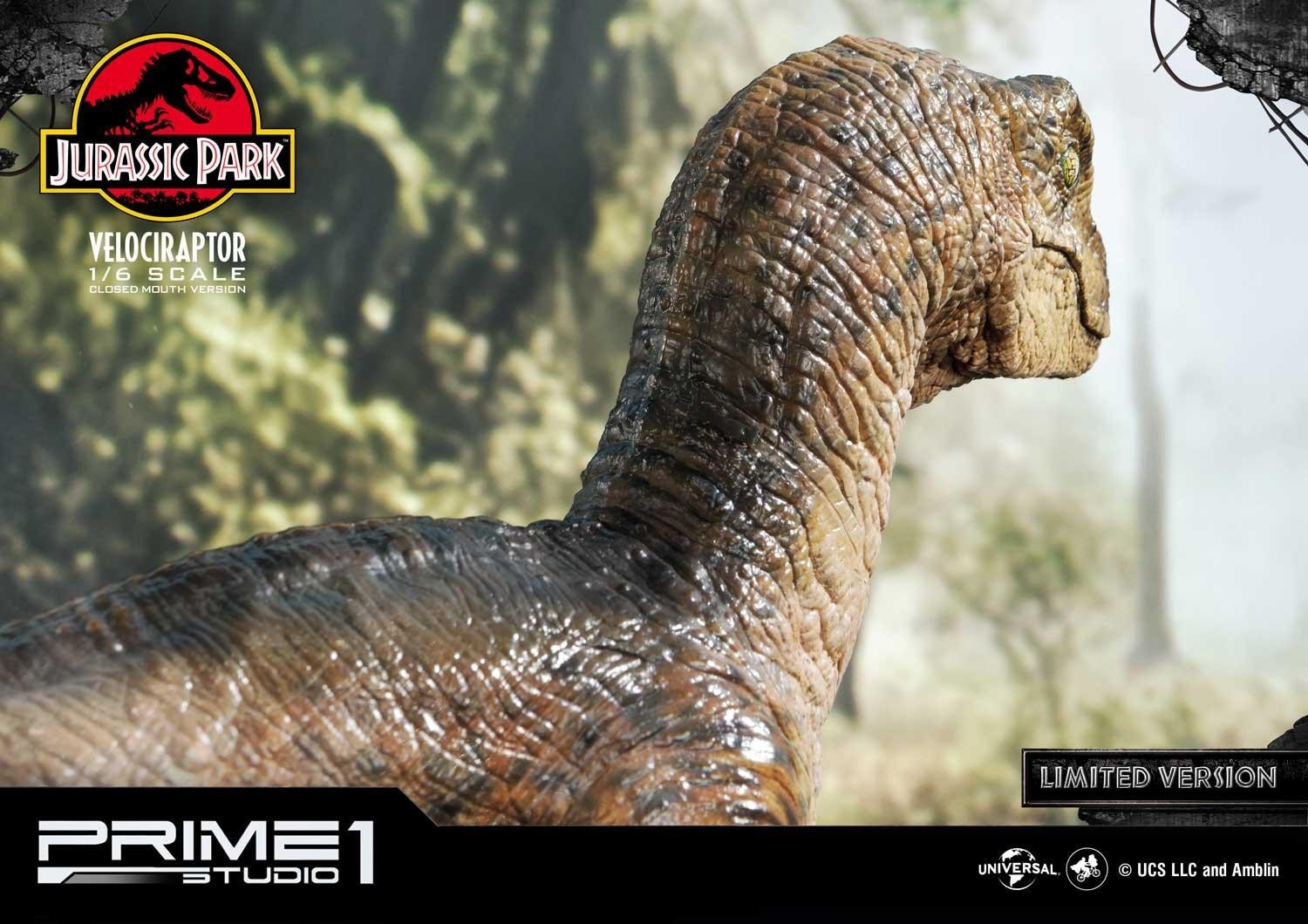 Jurassic Park - Velociraptor - Legacy Museum Collection (LMCJP-03LM) - 1/6 - Closed Mouth version, Prime 1 Studio Limited Edition (Prime 1 Studio) photo 14