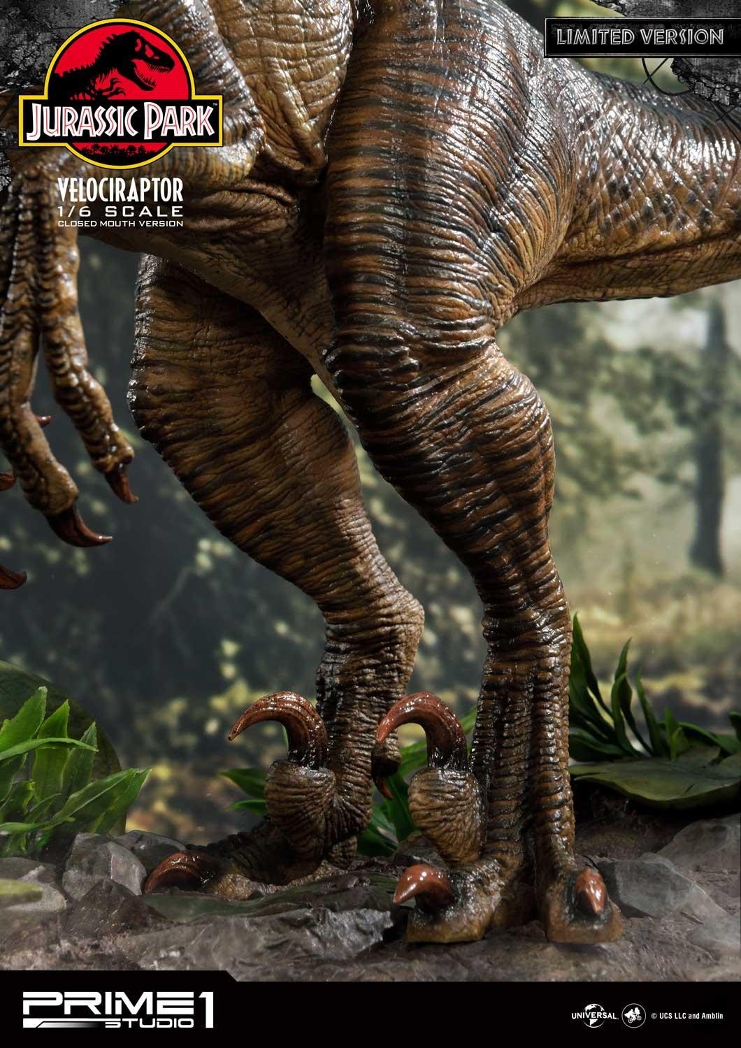 Jurassic Park - Velociraptor - Legacy Museum Collection (LMCJP-03LM) - 1/6 - Closed Mouth version, Prime 1 Studio Limited Edition (Prime 1 Studio) photo 15