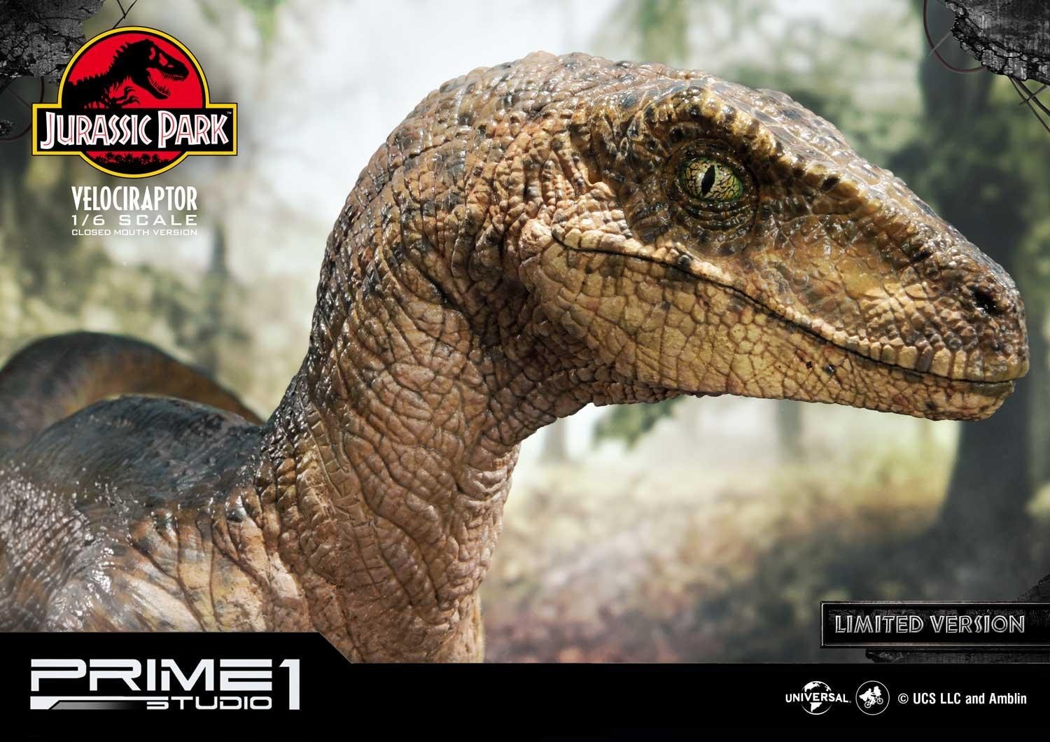Jurassic Park - Velociraptor - Legacy Museum Collection (LMCJP-03LM) - 1/6 - Closed Mouth version, Prime 1 Studio Limited Edition (Prime 1 Studio) photo 16