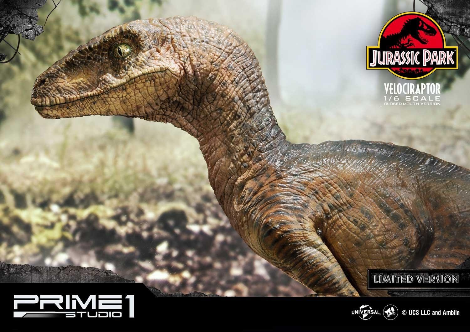 Jurassic Park - Velociraptor - Legacy Museum Collection (LMCJP-03LM) - 1/6 - Closed Mouth version, Prime 1 Studio Limited Edition (Prime 1 Studio) photo 17