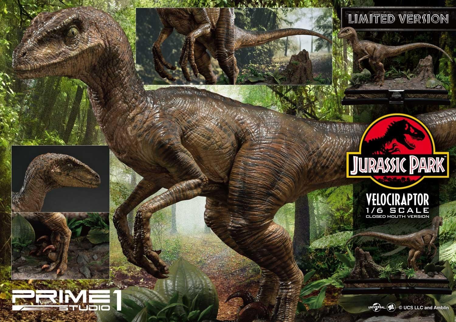 Jurassic Park - Velociraptor - Legacy Museum Collection (LMCJP-03LM) - 1/6 - Closed Mouth version, Prime 1 Studio Limited Edition (Prime 1 Studio) photo 22