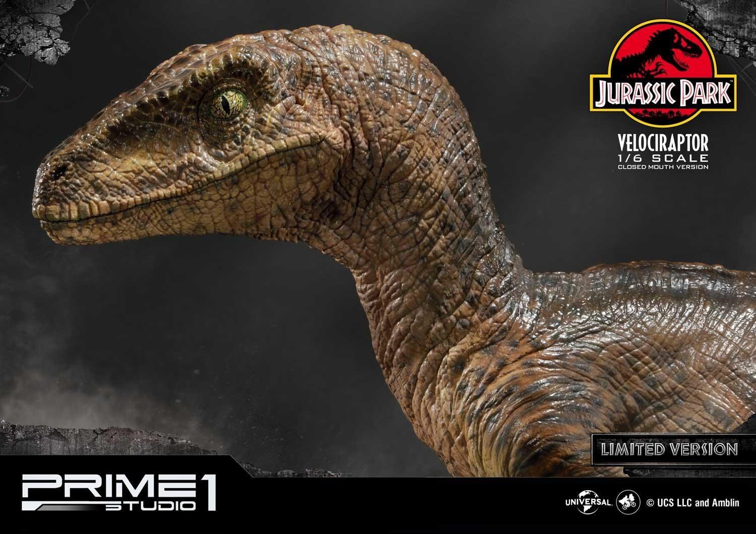 Jurassic Park - Velociraptor - Legacy Museum Collection (LMCJP-03LM) - 1/6 - Closed Mouth version, Prime 1 Studio Limited Edition (Prime 1 Studio) photo 27