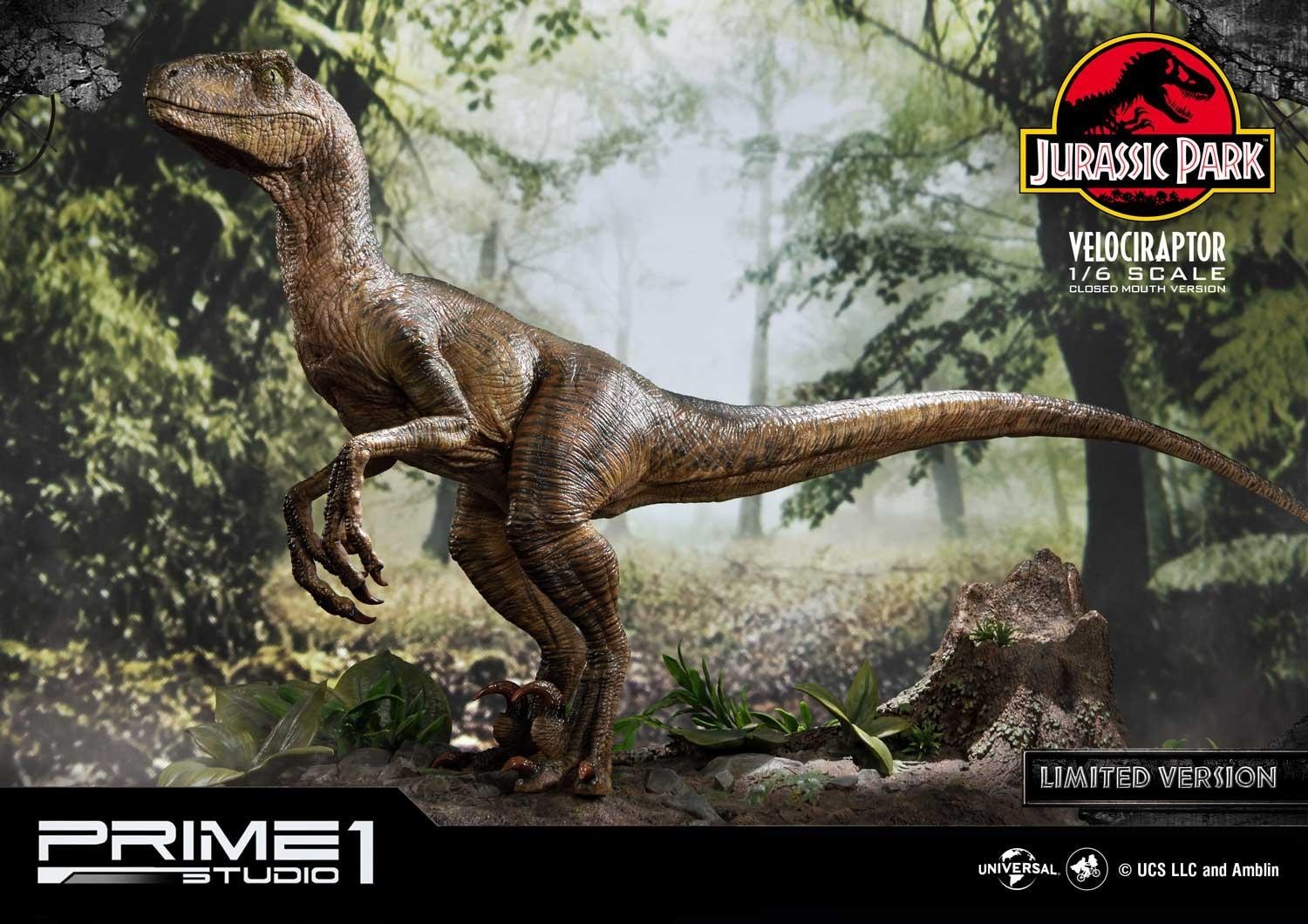 Jurassic Park - Velociraptor - Legacy Museum Collection (LMCJP-03LM) - 1/6 - Closed Mouth version, Prime 1 Studio Limited Edition (Prime 1 Studio) photo 36