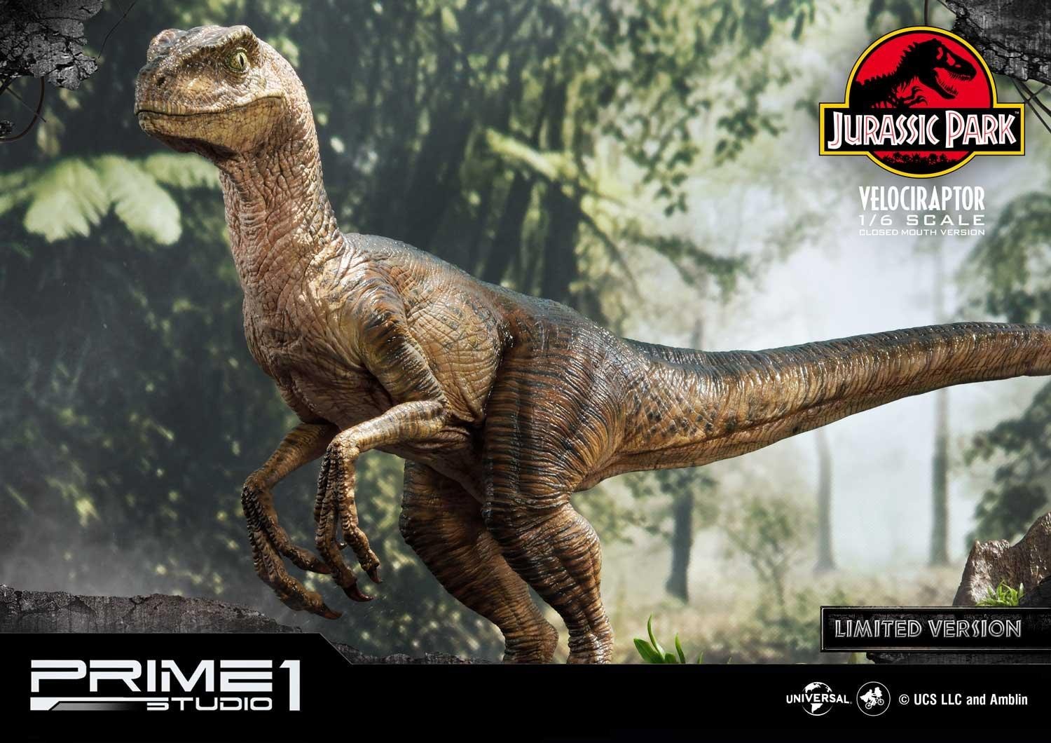 Jurassic Park - Velociraptor - Legacy Museum Collection (LMCJP-03LM) - 1/6 - Closed Mouth version, Prime 1 Studio Limited Edition (Prime 1 Studio) photo 38