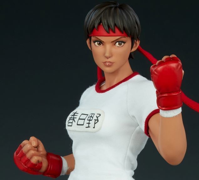 Street Fighter - Kasugano Sakura - Mixed Media - Sakura Gym (Premium Collectibles Studio, Sideshow Collectibles) photo 7