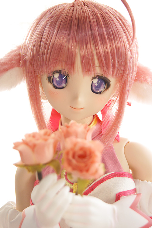 Dog Days - Millhiore F. Biscotti - Dollfie Dream - Dollfie Dream Sister - 1/3 (Volks) photo 3