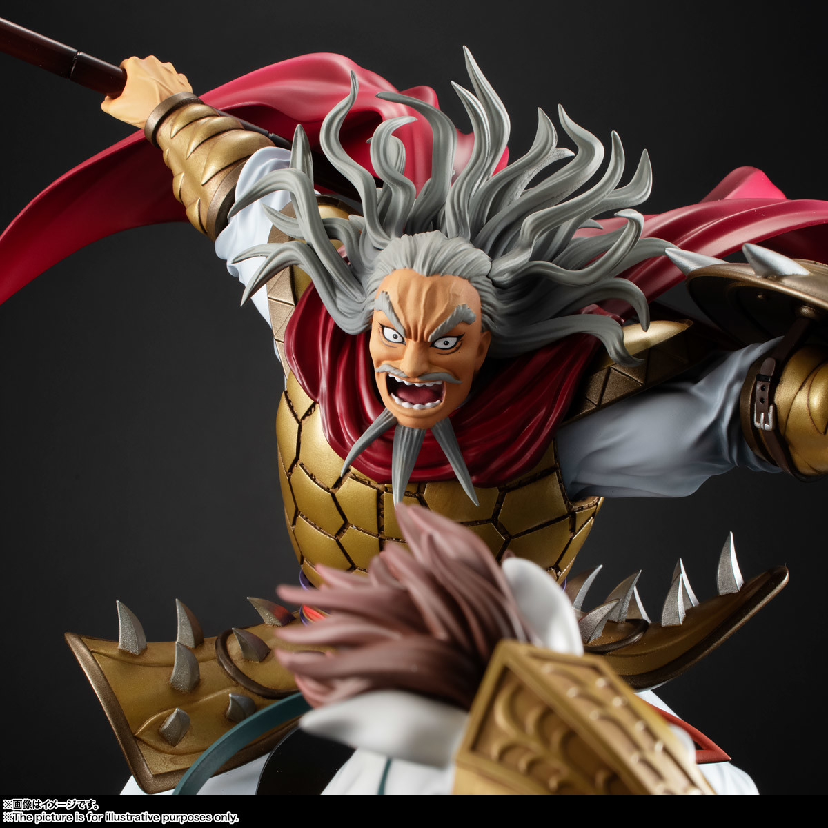 Kingdom - Duke Hyou - Figuarts ZERO (Bandai Spirits) photo 6