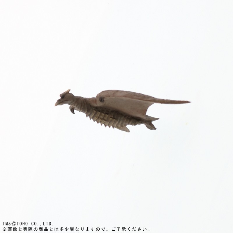Gojira - Radon - Toho Daikaiju Series - Shaunenrick Limited Resale (X-Plus) photo 9