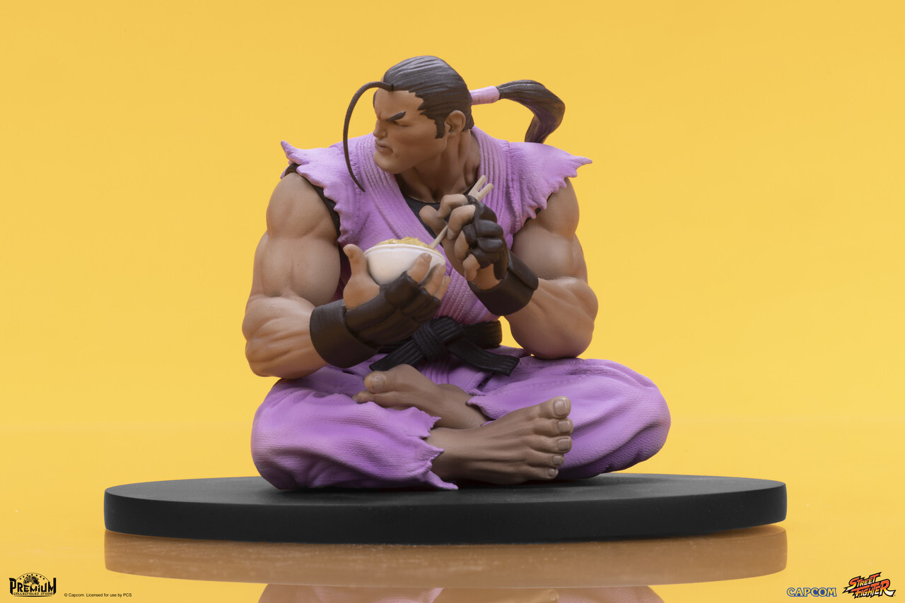 Street Fighter - Hibiki Dan - Street Fighter - Street Jam Line - 1/10 (Premium Collectibles Studio) photo 10