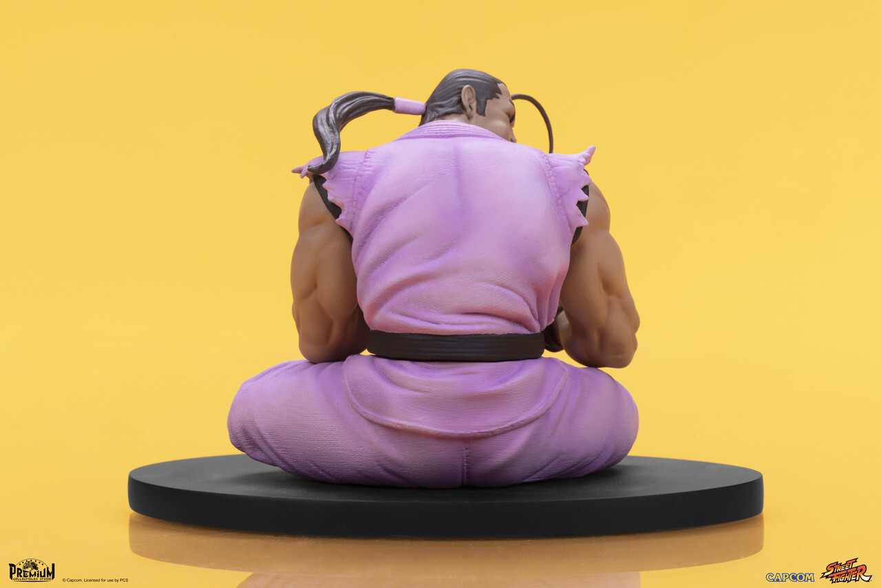 Street Fighter - Hibiki Dan - Street Fighter - Street Jam Line - 1/10 (Premium Collectibles Studio) photo 12