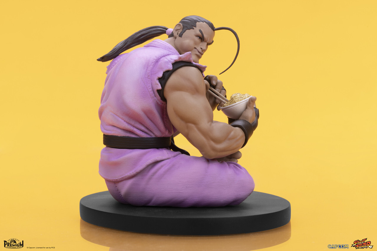 Street Fighter - Hibiki Dan - Street Fighter - Street Jam Line - 1/10 (Premium Collectibles Studio) photo 13