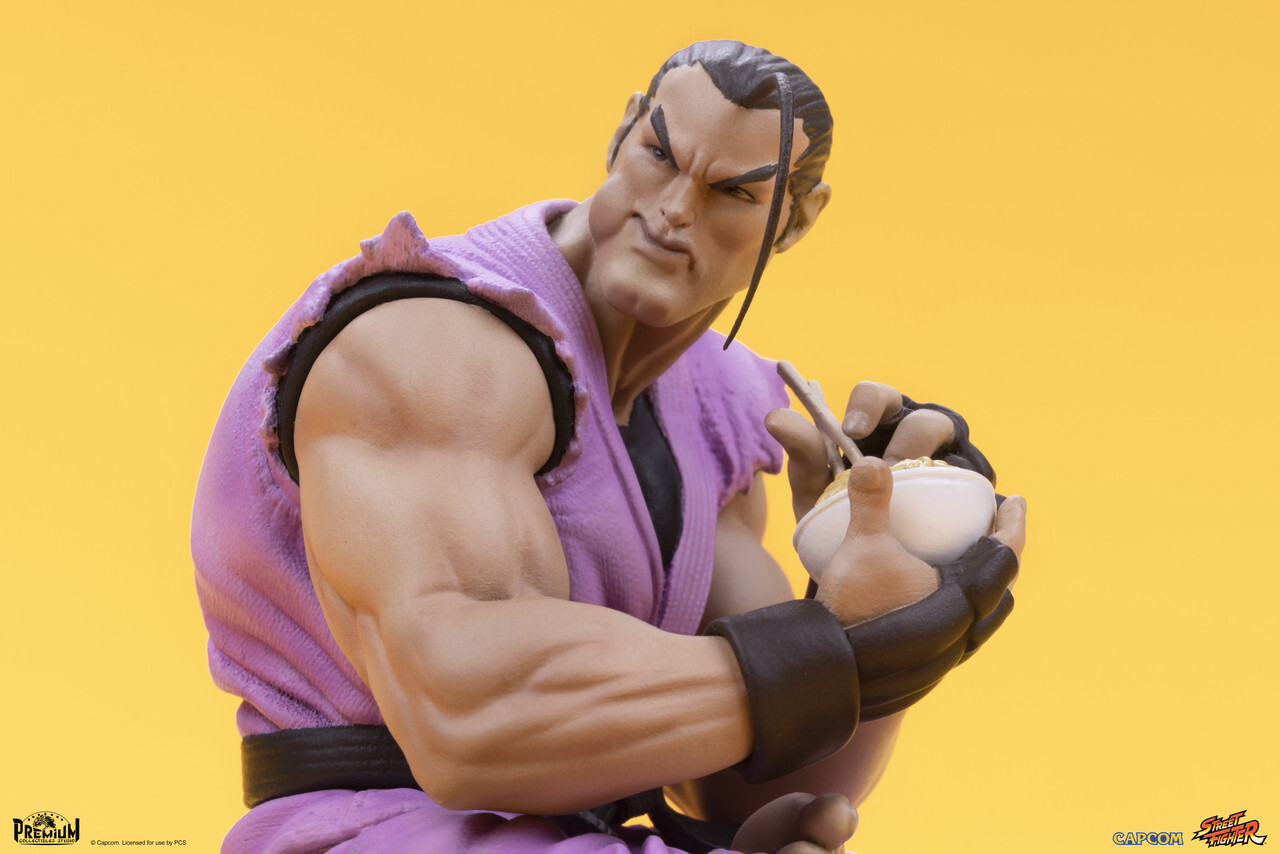 Street Fighter - Hibiki Dan - Street Fighter - Street Jam Line - 1/10 (Premium Collectibles Studio) photo 14