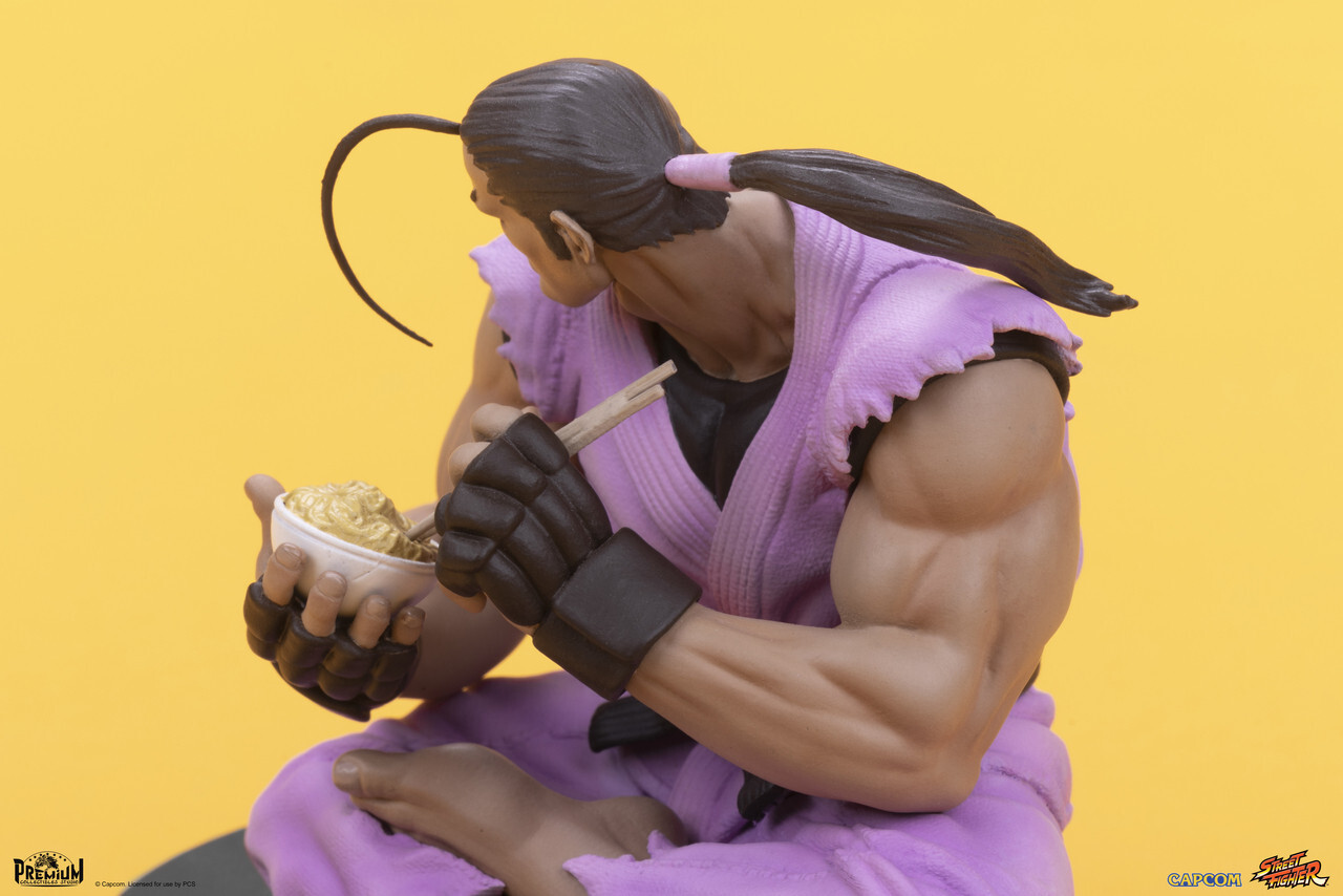 Street Fighter - Hibiki Dan - Street Fighter - Street Jam Line - 1/10 (Premium Collectibles Studio) photo 15
