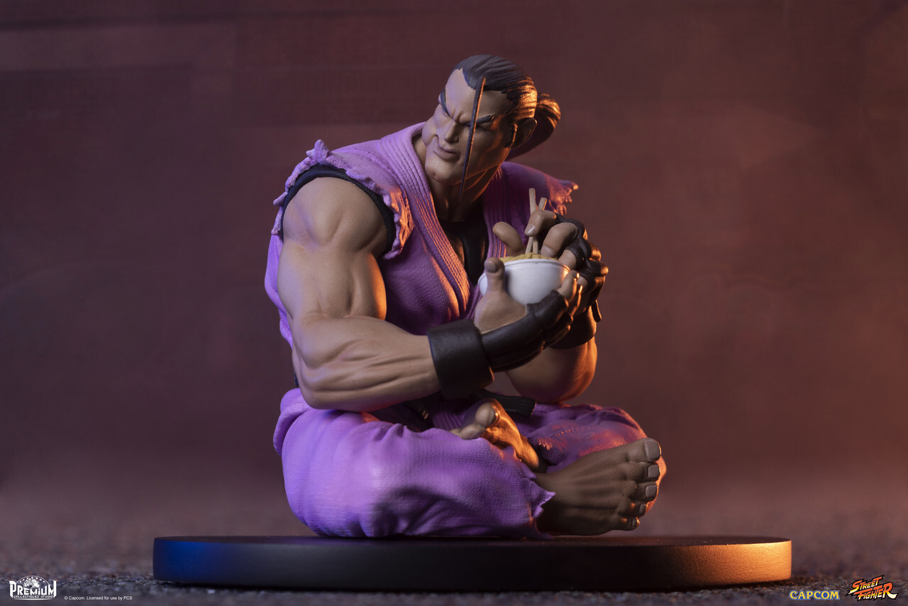 Street Fighter - Hibiki Dan - Street Fighter - Street Jam Line - 1/10 (Premium Collectibles Studio) photo 17